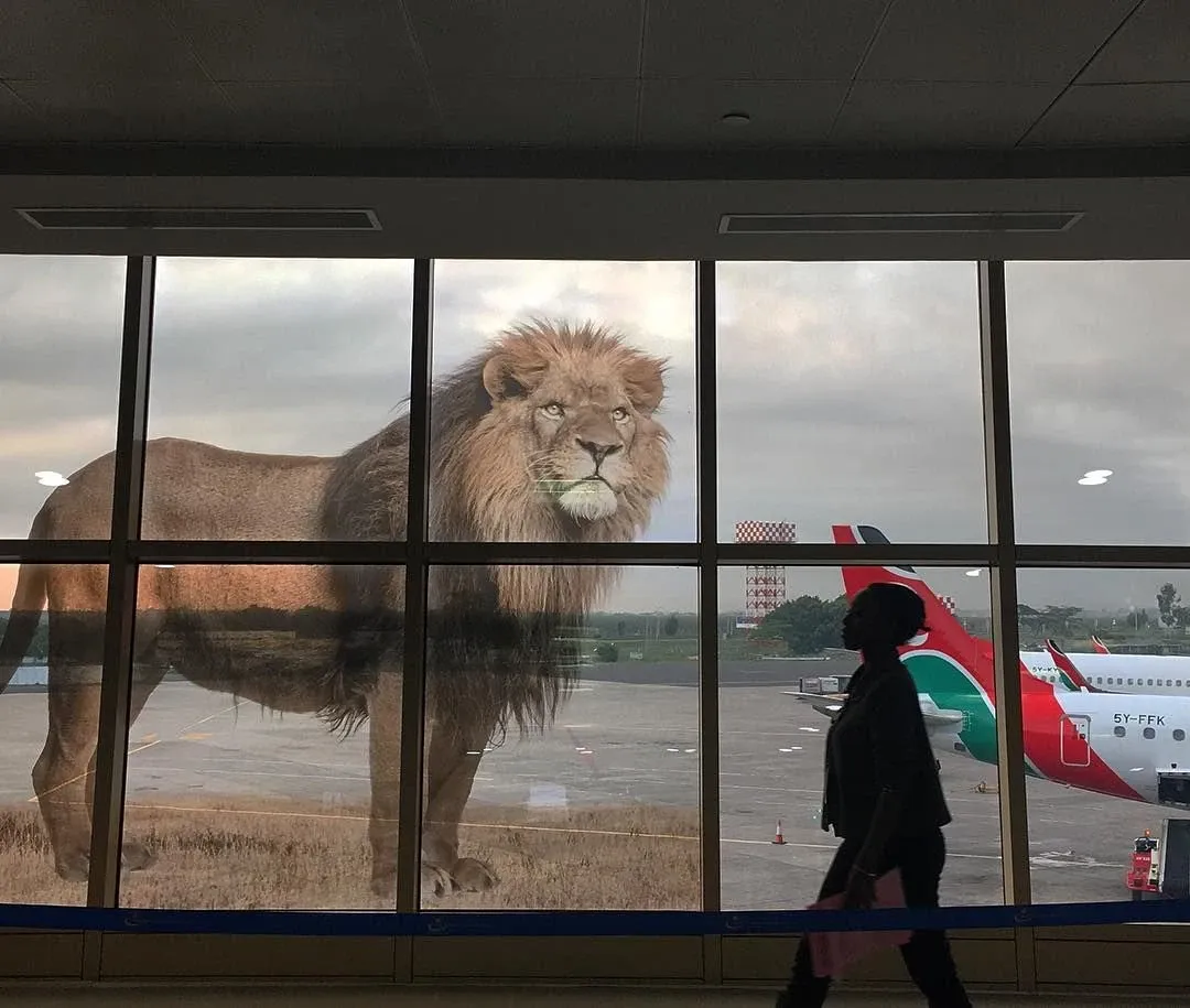 肯尼亚入境到坦桑，再返回肯尼亚怎么填写逗留时间？